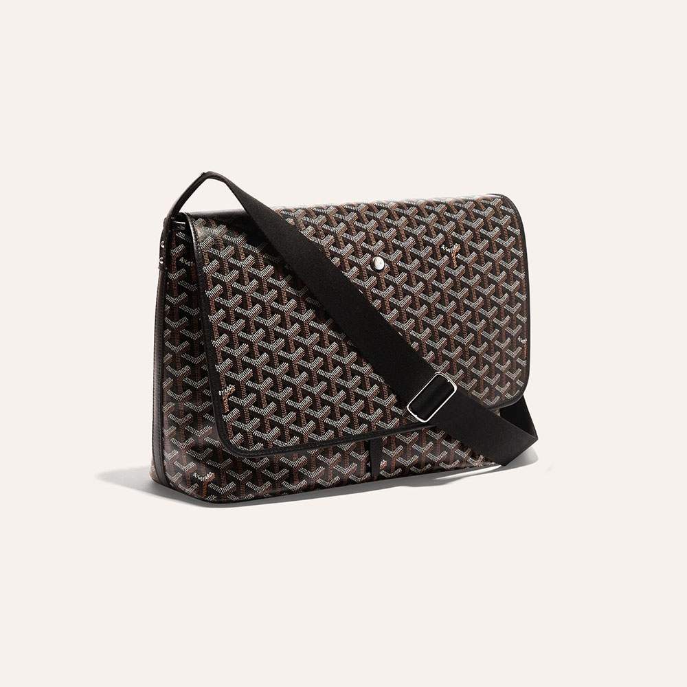 ゴヤールスーパーコピー カペシアン バッグMM LTY01CG01P LTY01CG03P LTY09CG09P - 商品画像 4
