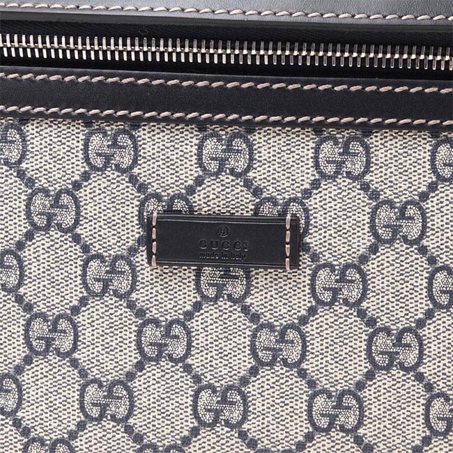 グッチ/GUCCI ボディバッグ GGプラス 233269 kgdix 4075 - 商品画像 4