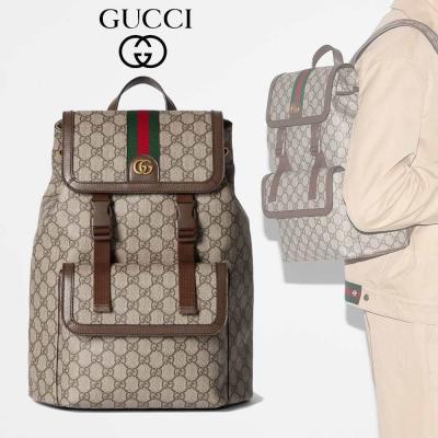 グッチスーパーコピー 〔オフィディア〕スモール バックパック 792114 FADMF 9794