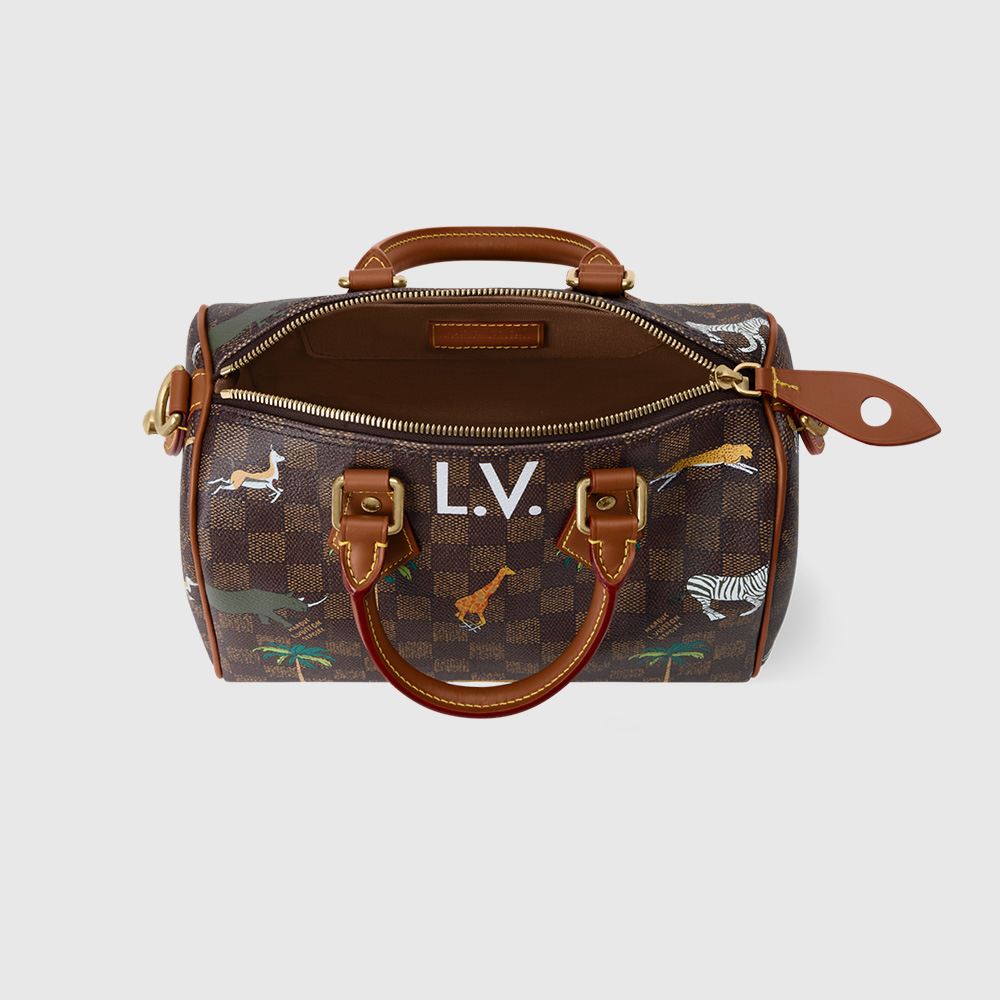 ヴィトンコピー LV × ザ・ダージリン リミテッド スピーディ・バンドリエール 25 N40857 - 商品画像 10